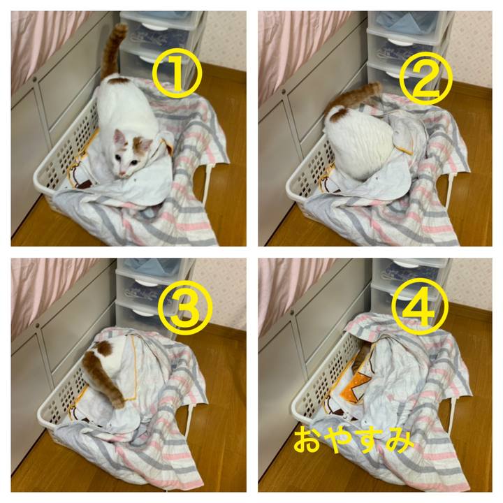 1e792698 0d99 4b33 bc81 fe593c1fc6d6 1589551856619