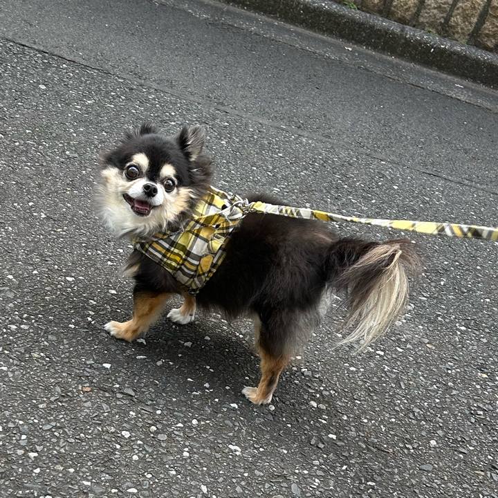 1e793196 7aab 4f23 a5cd 0adef7b0457c 1698377388577