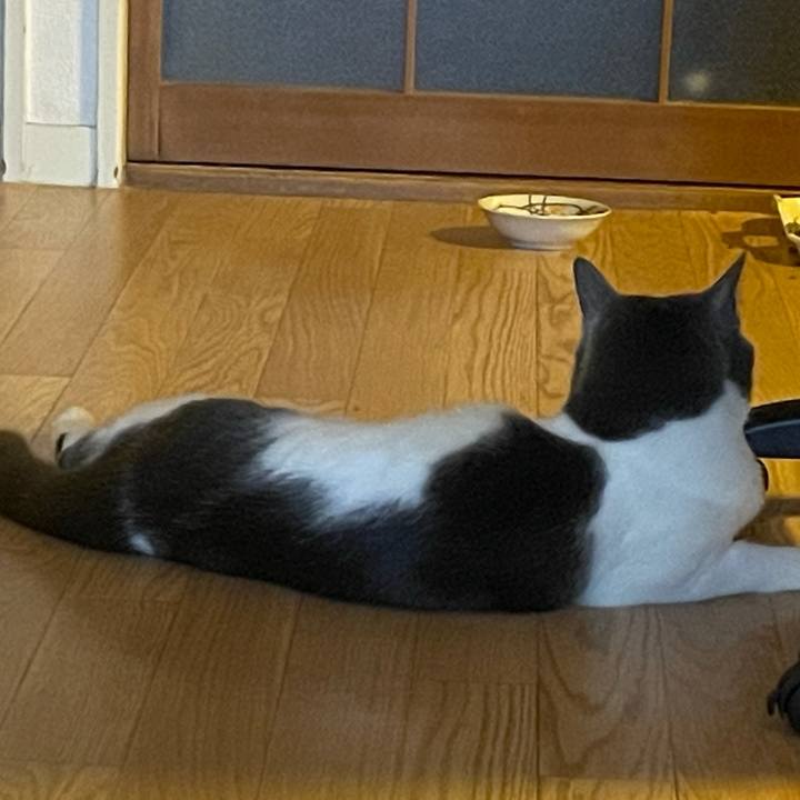 1e79422c 0af2 46c5 b305 4d0cb48797bd 1628492510279