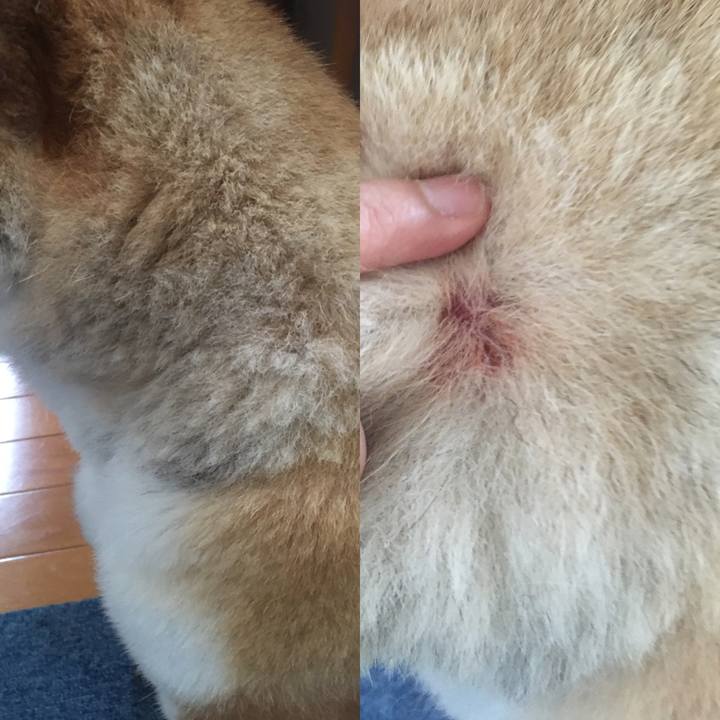 1e794f95 6344 473b a036 0c588b3c7956 1591144880594