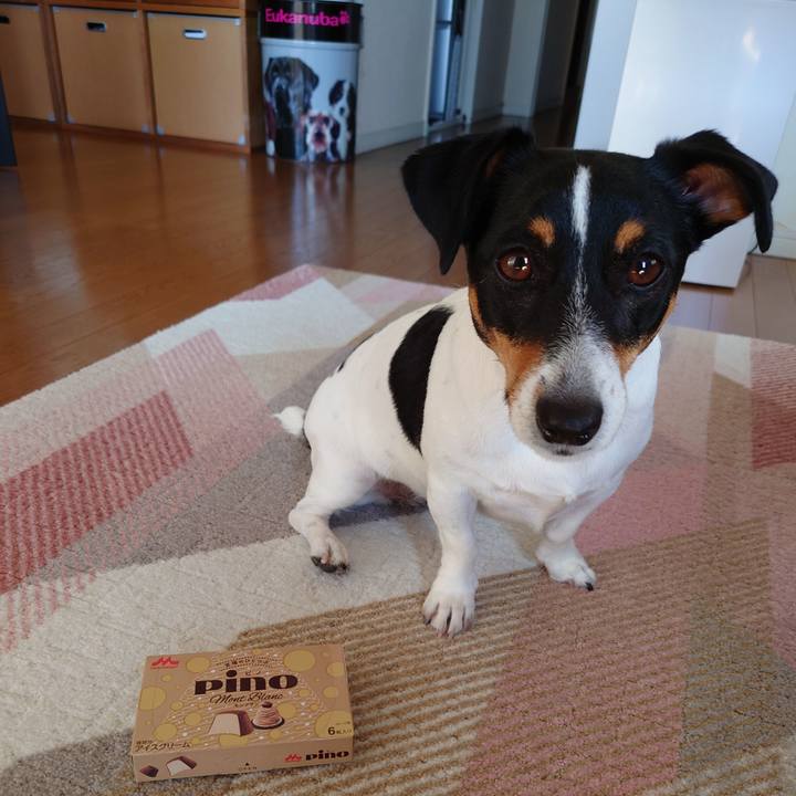 1e799e86 e553 4c7a b4da ed528d603d2b 1666754604908