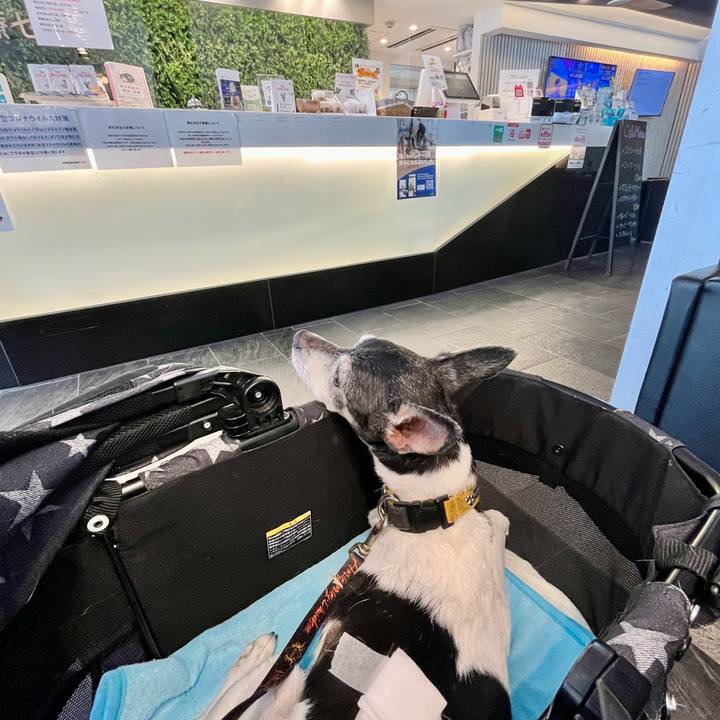 1e79c057 d7db 401a 8416 aebb1fccb373 1655630374967