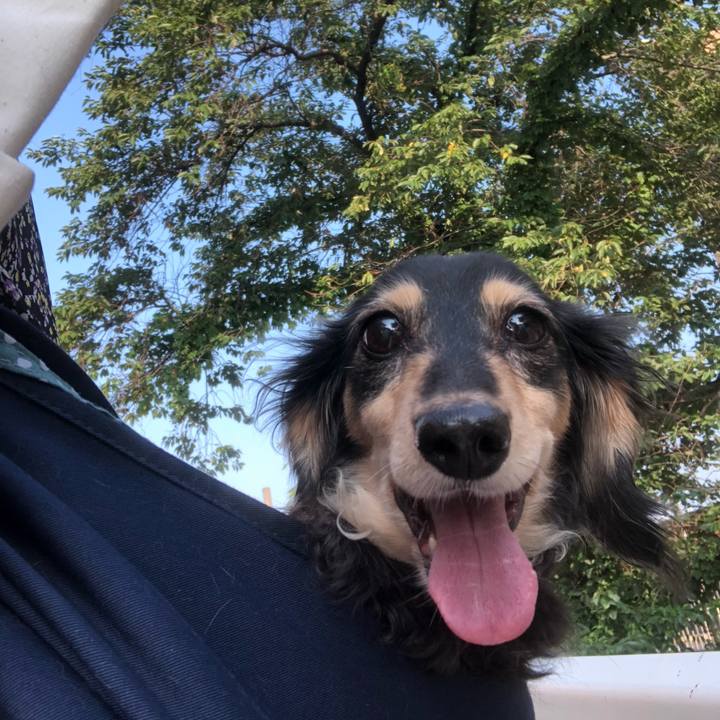 1e79e03a fa23 48a1 ab91 7f74a8e203cc 1566117694714