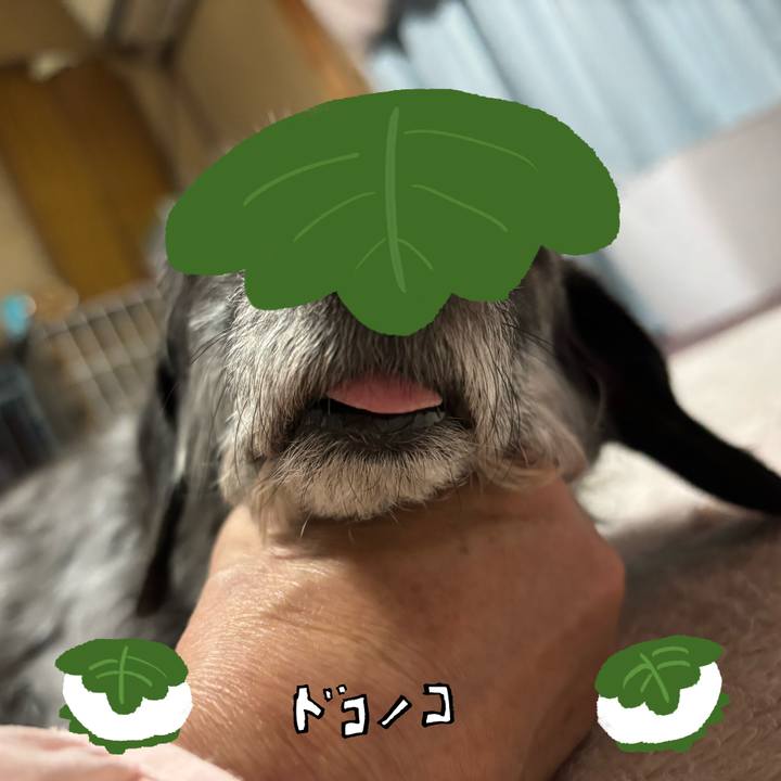 1e79f722 e0cf 480e 90fb b11c3905ce20 1749684538365