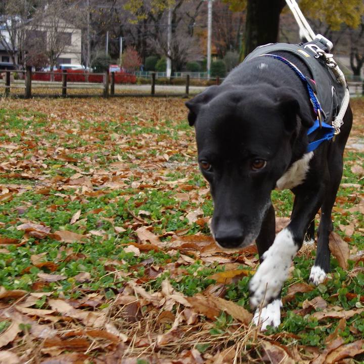 1e7a6327 00c6 4aab 8375 e4a1eb2d8897 1639010453400