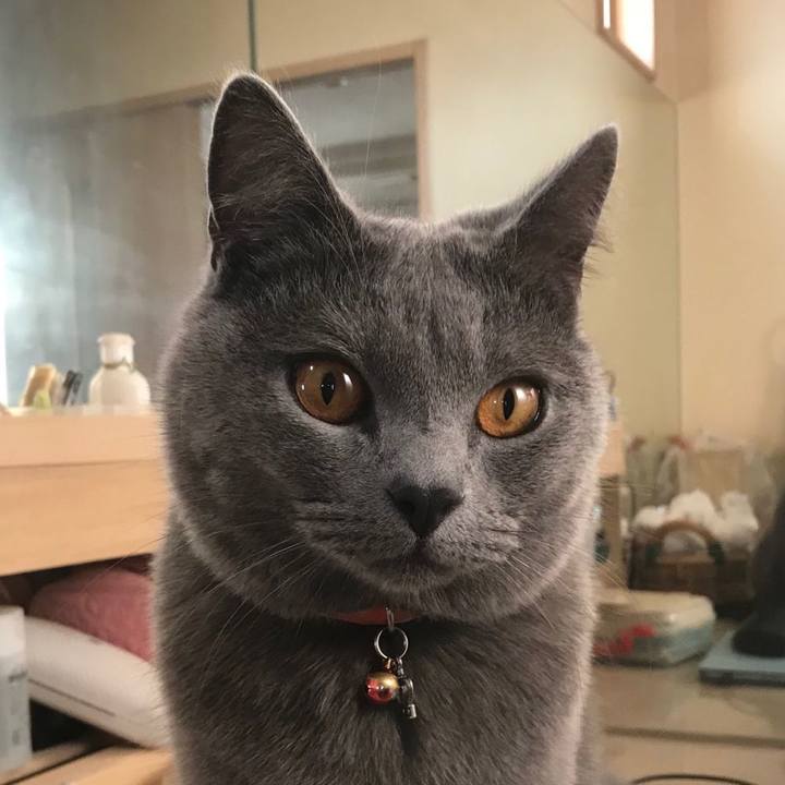 1e7a6fb2 d574 4107 8f74 f914c95cb6a7 1541240591663