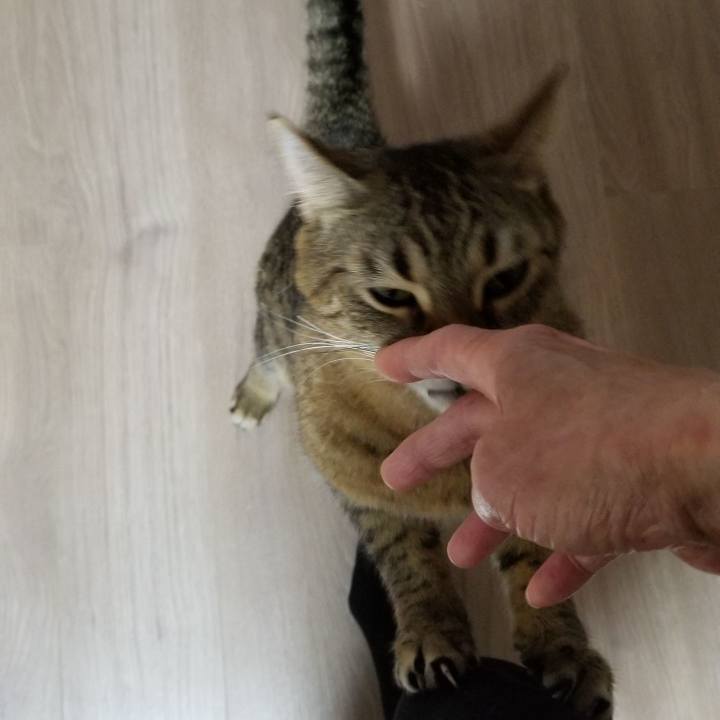 1e7a731e d492 48e9 b4e9 7a1ecee3e344 1551999508635