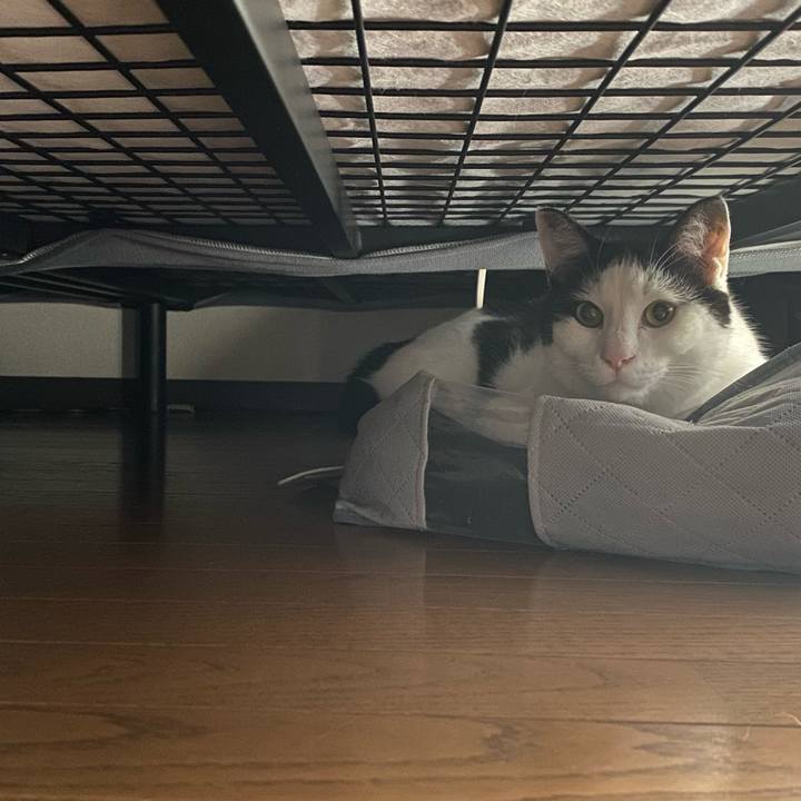 1e7ab4e8 cf3c 4daf a07f 452f034859e0 1636186707727