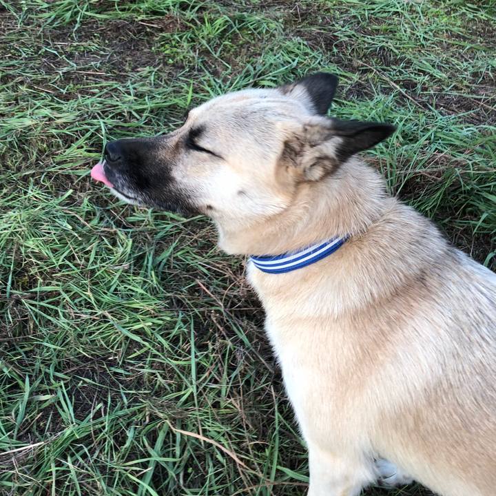 1e7adfcc 71eb 48ef 9917 27e56af35a52 1533729492529