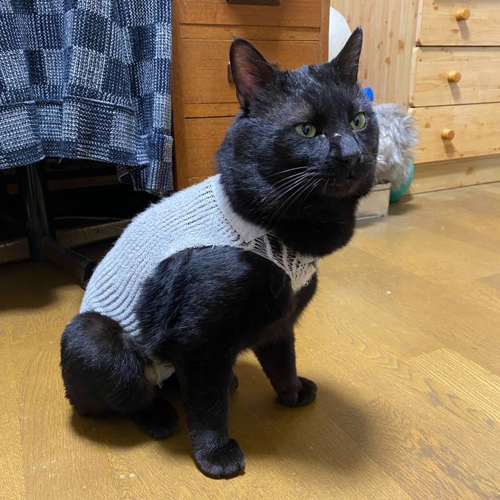 1e7b0d2e 2cf4 4547 8152 b99ea52421bf 1648871767704