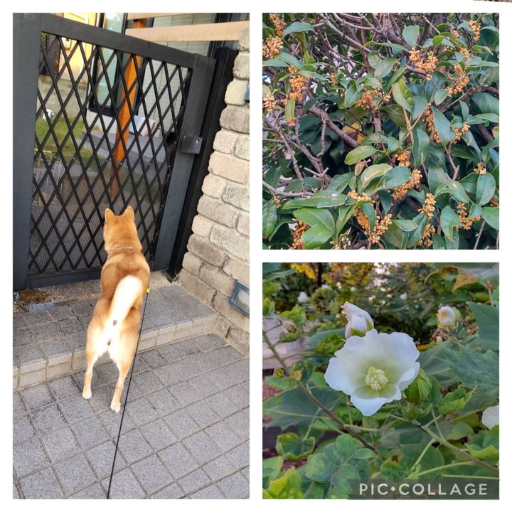 1e7b2022 653f 4cb4 a80e cd94e43f735f 1697323457719