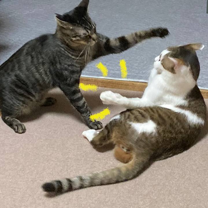 1e7b37ec 36df 4cd6 bc74 dffc4acd2f76 1647245019706