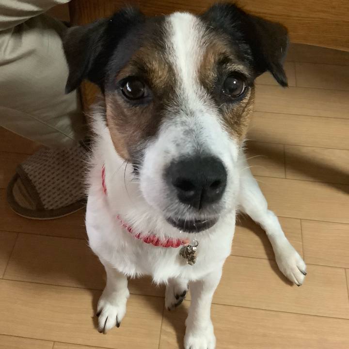 1e7b5e96 e551 43c4 9c5d c6339fd48b95 1566004313844