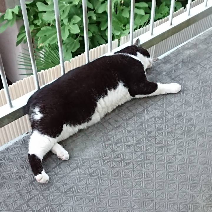 1e7b8fea b9d3 4875 a7ea 5c2d227da640 1627813668237