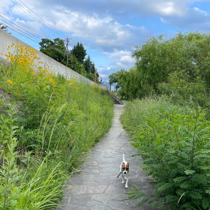 1e7b95ad b13c 480d bb26 ff83d4cf92ee 1654763620393