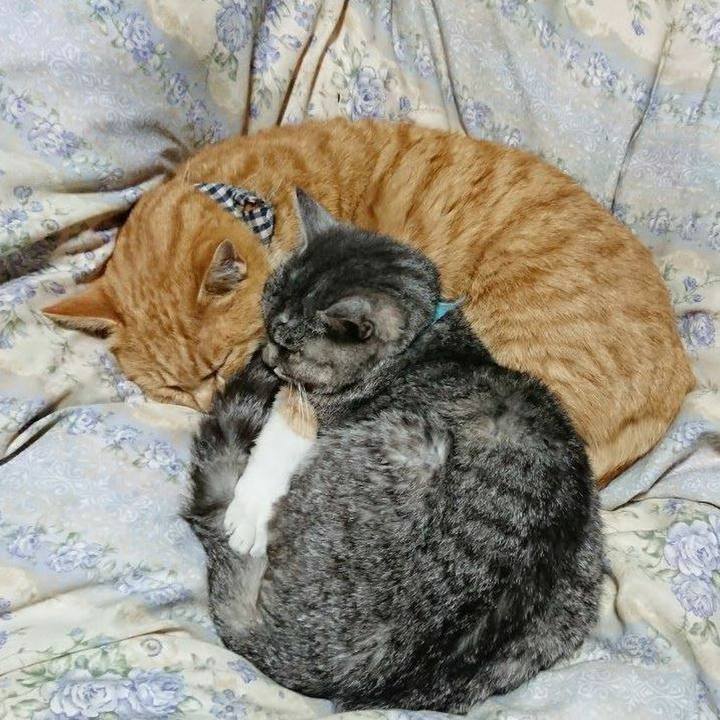 1e7bab36 0dca 4383 b482 a3a6da85733f 1575206640230