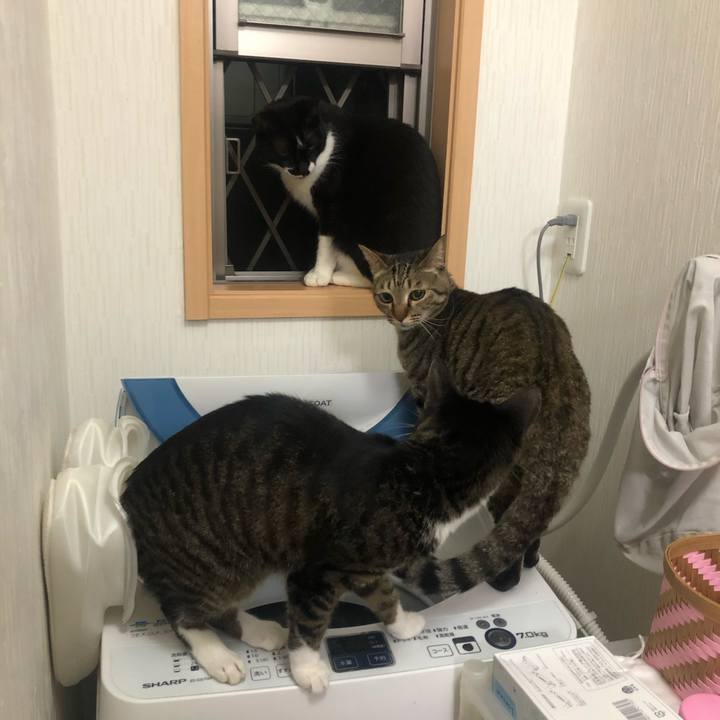 1e7babfb eed2 4bdf bde8 328ea4f2e58b 1589167612043