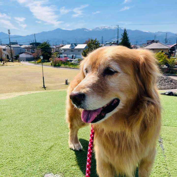 1e7bec15 937a 49b0 8002 23dd32c1d628 1776064183181