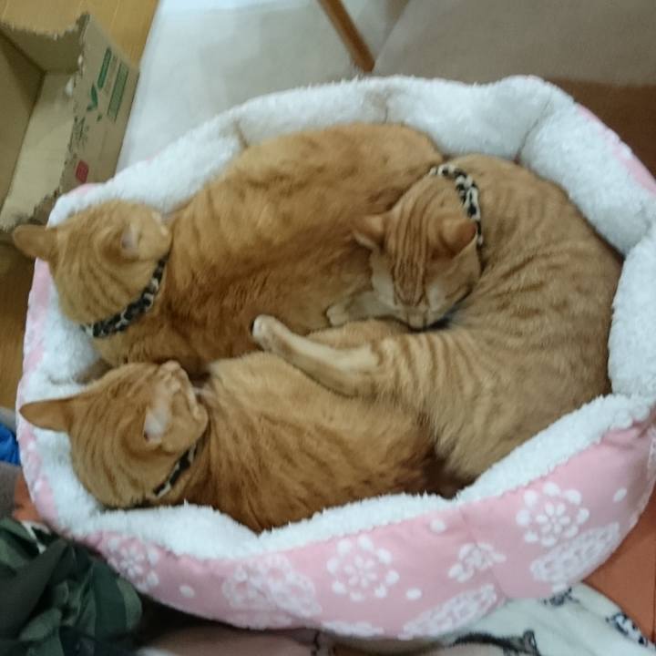 1e7bfac9 c1e1 497d 89bd 4df980307d8c 1580294455564