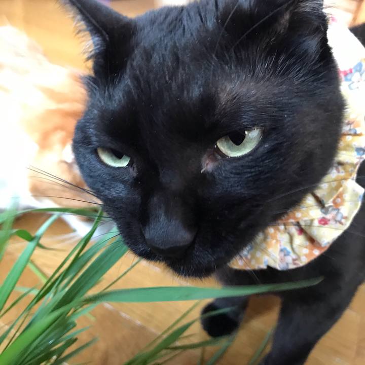 1e7c0fb9 754e 4ddd bc70 5c3432214f9f 1622417574448