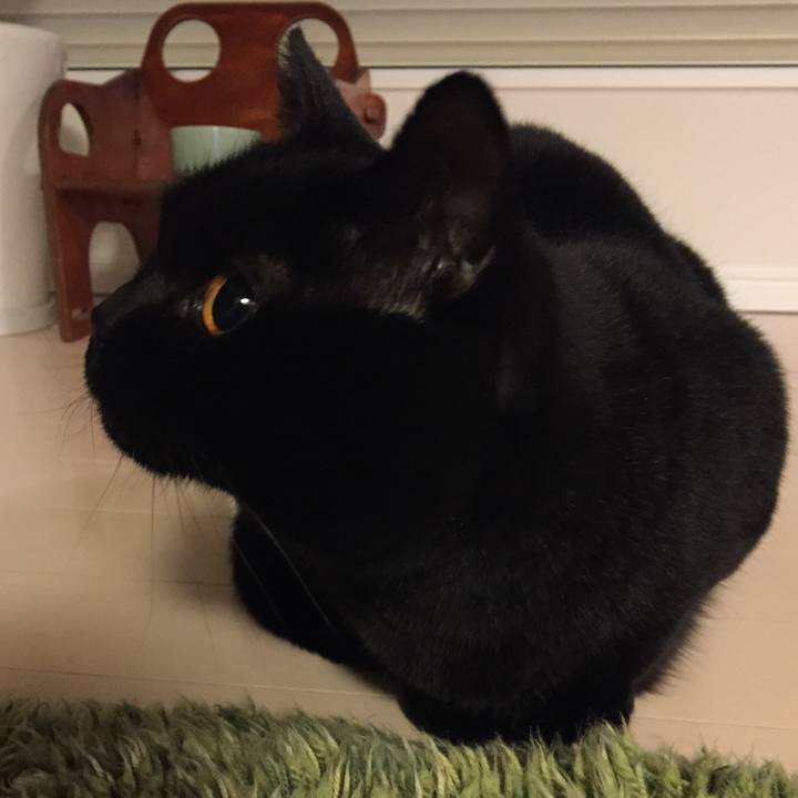 1e7c1693 c935 4403 a322 fcdedbc2c6d7 1516453040618