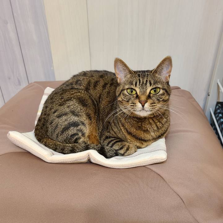 1e7c183e 26e5 4b5c bc25 d8a2510bfa3e 1669956345018