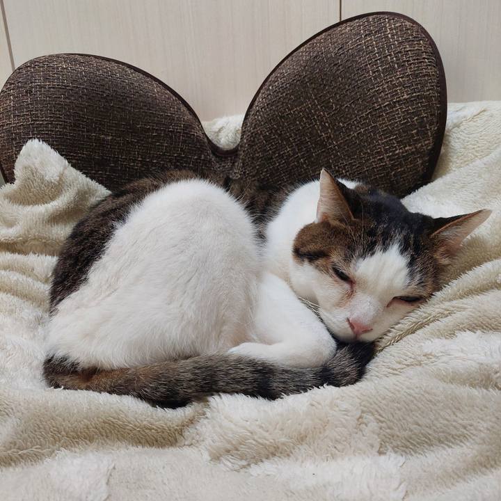 1e7c24ec 6fb4 4f0b abb3 b3074a1301cf 1734129726866