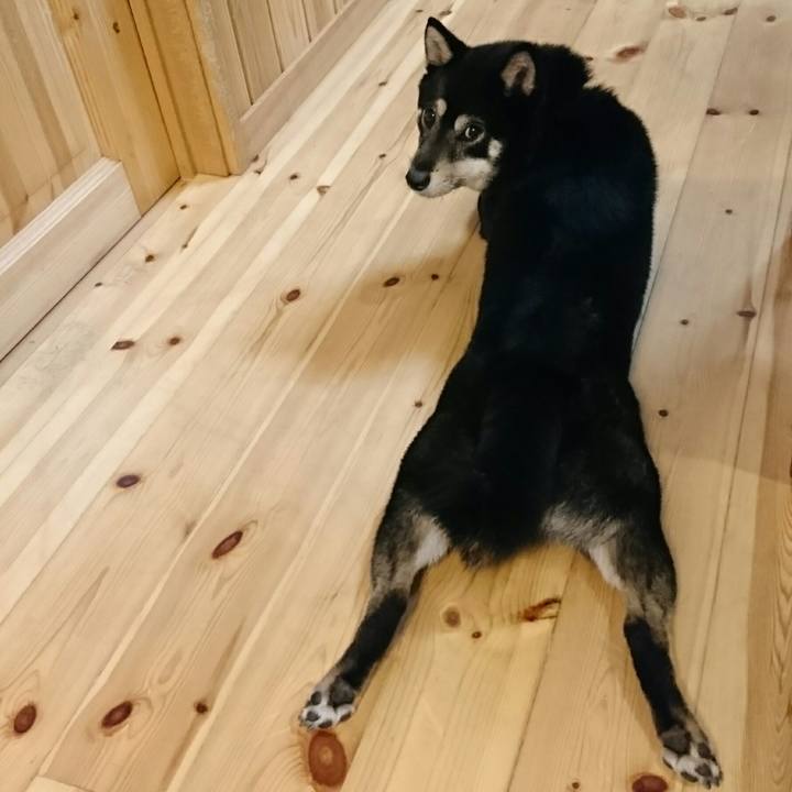 1e7c5d28 0d9e 4e7e 96dc cbaf4bd99aad 1530876704870