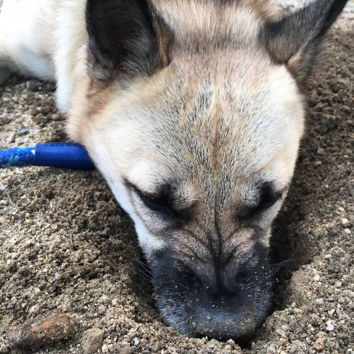 1e7c8678 7494 4a44 b939 dab3c1f511c8 1509622734588