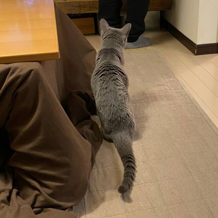 1e7c87b7 ffc8 40b8 b7a9 be19a304333b 1583103880975