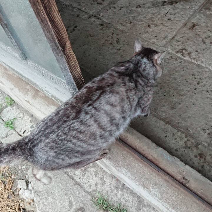 1e7ca0be ee63 497f b827 23f3c5c844ba 1556184778422