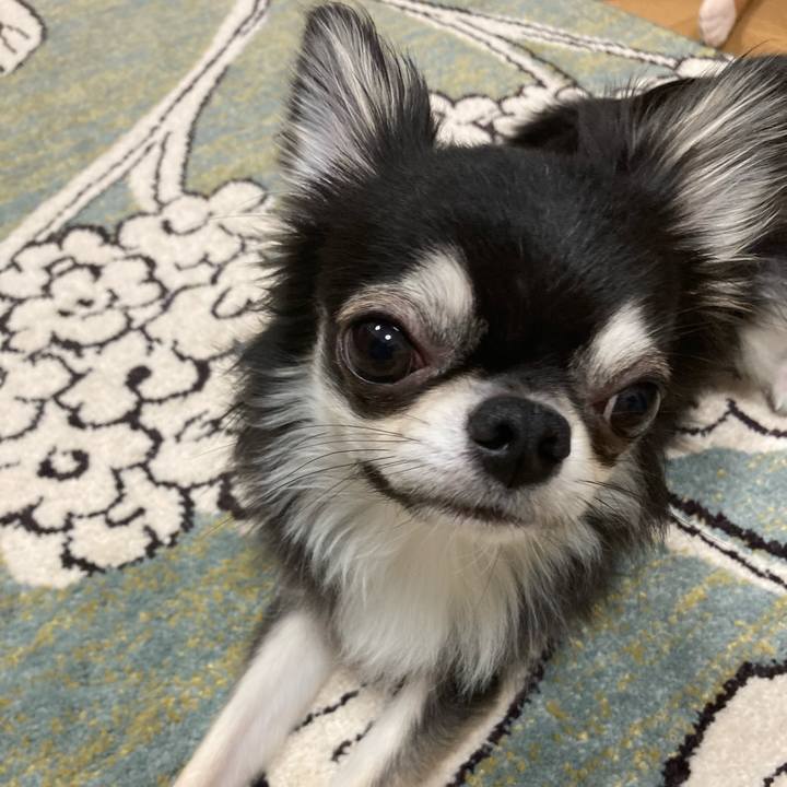 1e7cabf1 6de7 44c7 bb5a 08b67ad51d92 1624107493754