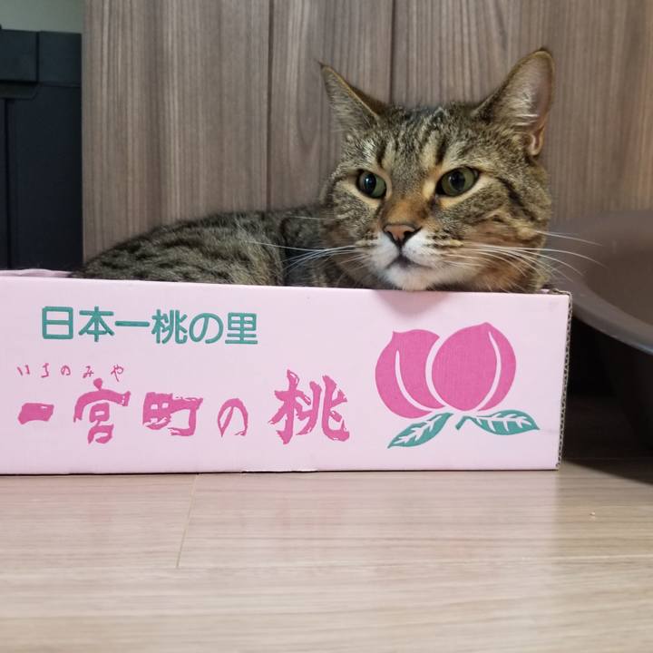 1e7cc812 9d65 44e4 a223 9bd20acf40bc 1599687505003