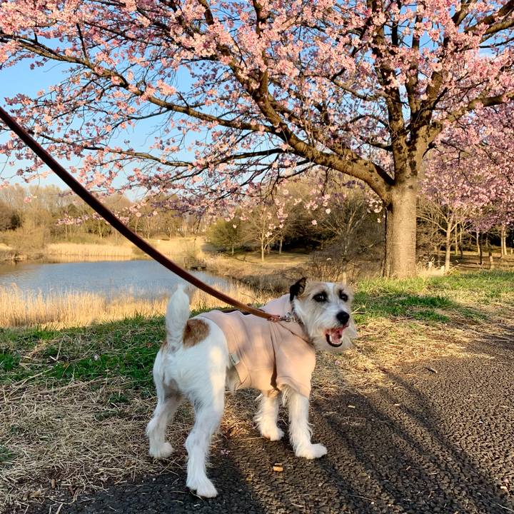 1e7cc9e9 4bf5 4678 acb7 bcb66aa89fab 1678884479871