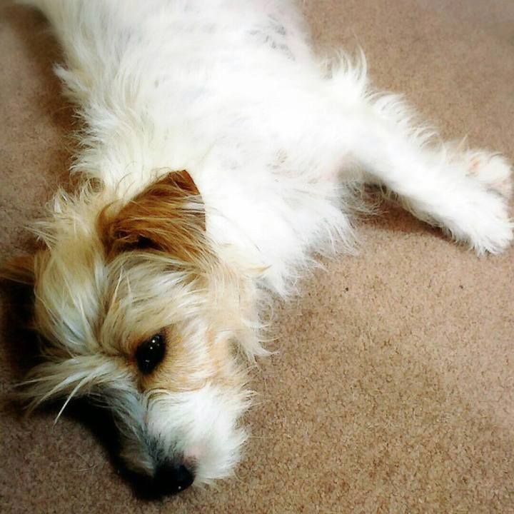 1e7cef1a 38f4 4fbd 9620 60a58f2b28c4 1654720556719