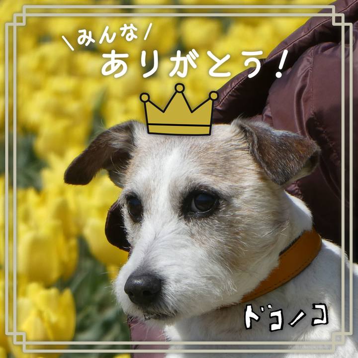 1e7d361d 2ca8 4ad2 af50 85dcdd2535ff 1623156298259