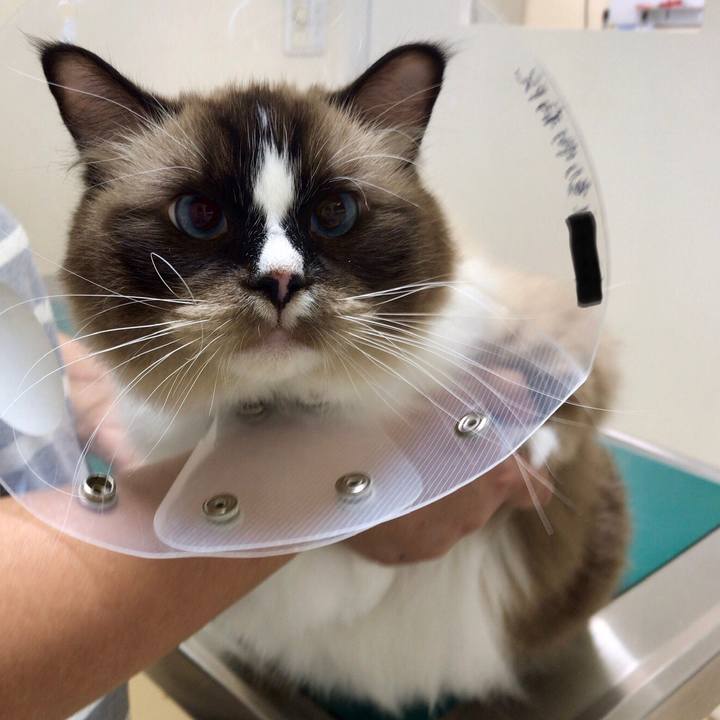 1e7d5f80 c4b8 4d87 911c 6ca9800e3bf2 1538292125442