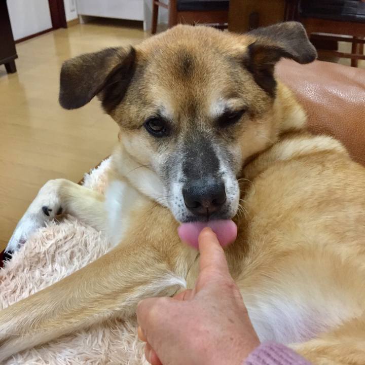 1e7d9aed 7b60 4adc a977 2b8b8845f595 1550320353733