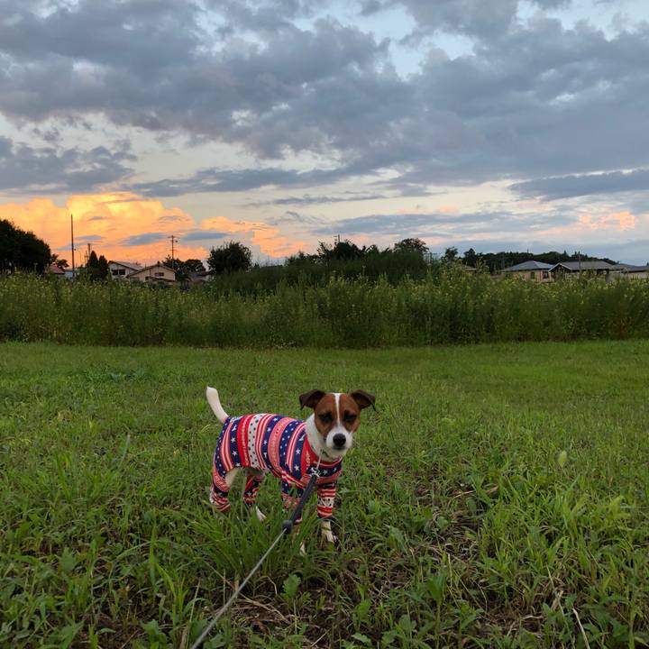 1e7db70e bb4d 450e b83e 964100af82c7 1566829848868