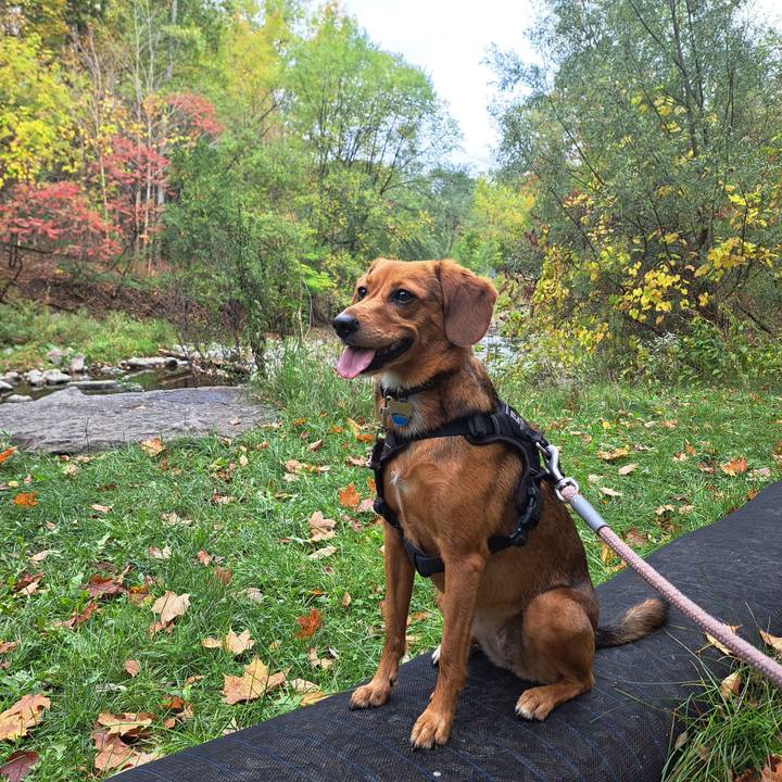 1e7dbdcd 8a57 4bd4 8fc0 daa0e84e39dd 1760290975445