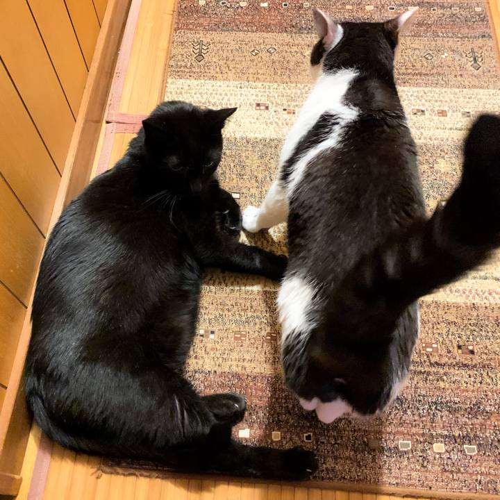 1e7dec12 7bc5 43b3 a13d 824758191aff 1602467276793