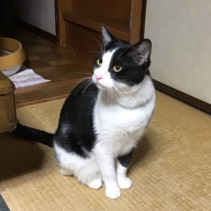 1e7e196e 1dc0 4b45 ab69 a37035d2e3ae 1695469847282