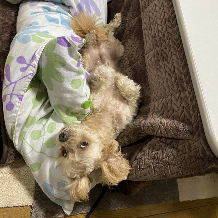 1e7e1d3b db35 4cff 8707 8d424fbc904d 1606046239986