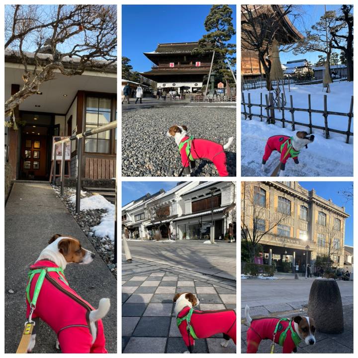 1e7e21ba 5b05 4c5a bcb1 5fd7da371b25 1641455508761