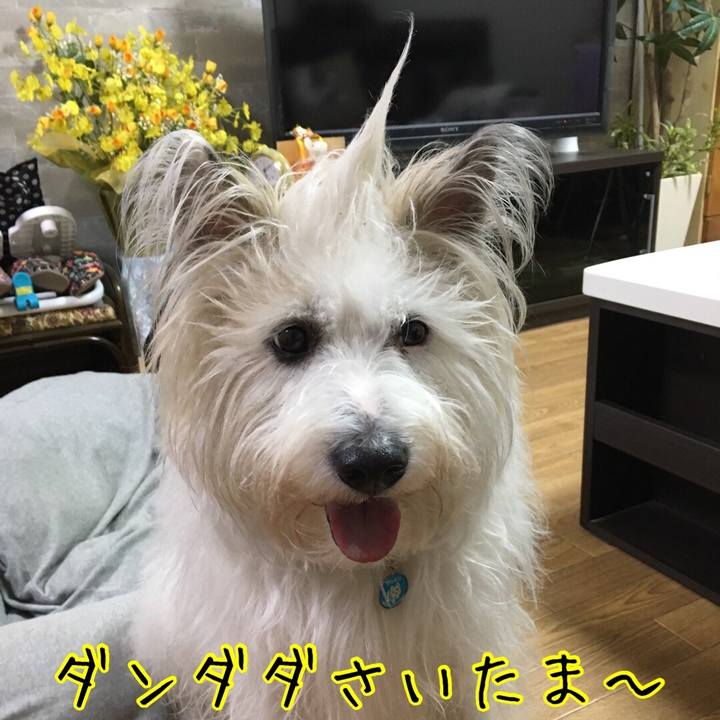 1e7e5721 2173 4c19 8e72 85904f3943ac 1581147647274