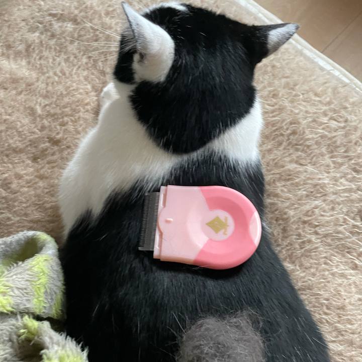 1e7e5b23 fced 40a9 bf09 73fc55dc834a 1616969704227