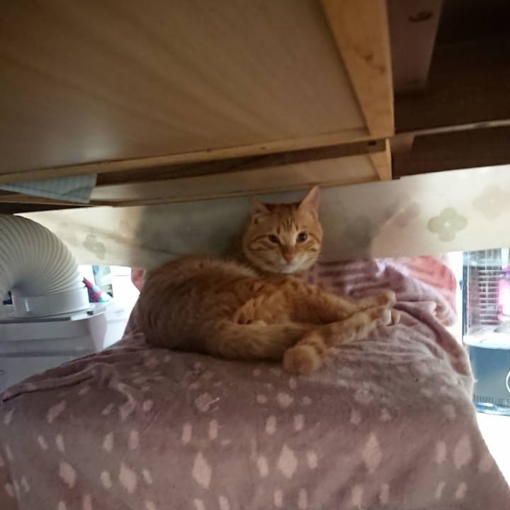 1e7e96b8 2d18 4640 99b0 b9368984659c 1643328576606