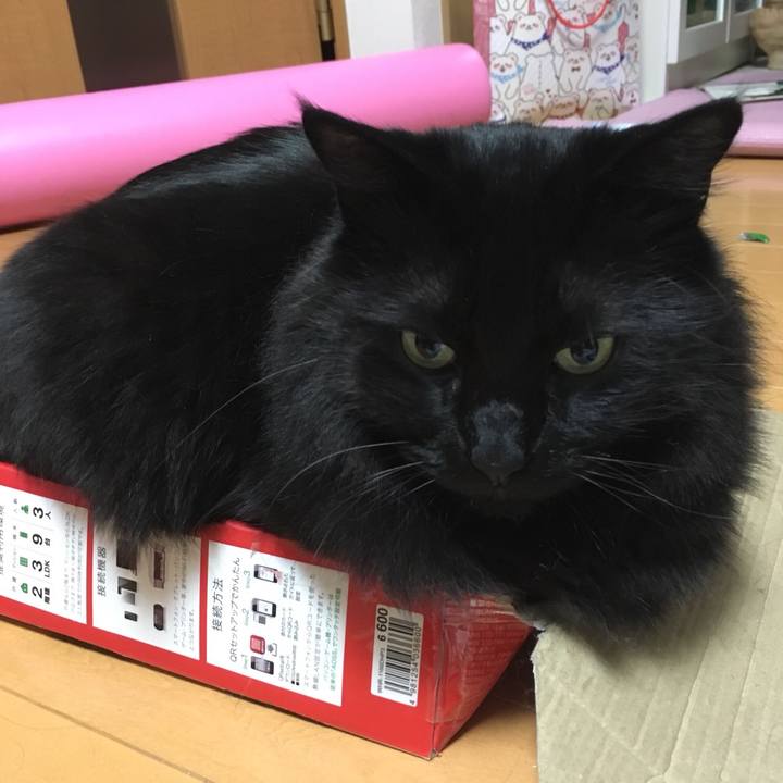 1e7e97b9 8885 43f5 88e3 b6e2dabc4f4b 1527440653367