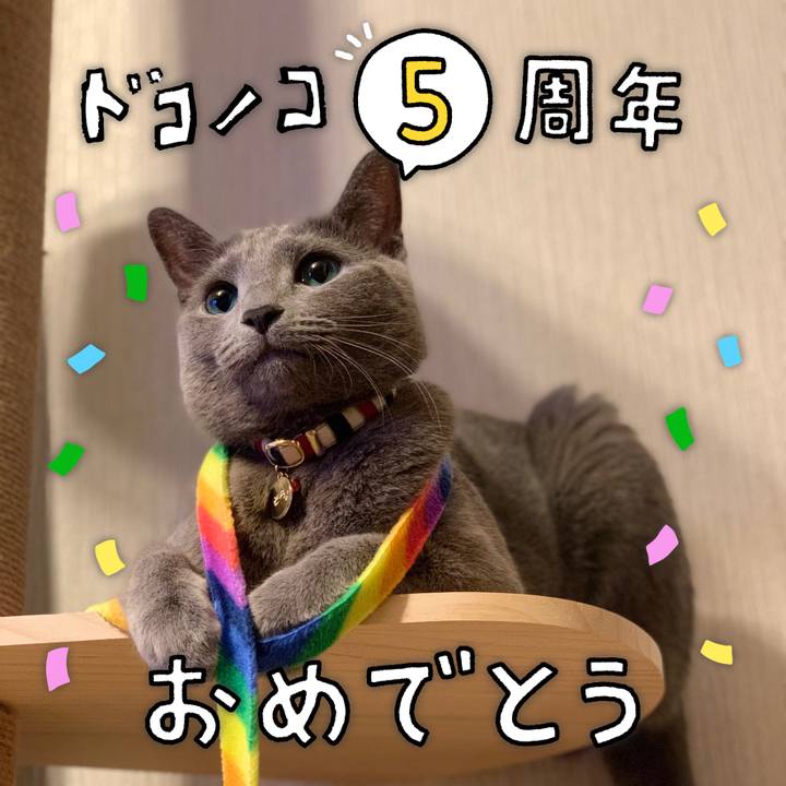 1e7e9b67 03d1 4828 9733 cf51848f25df 1622878011353