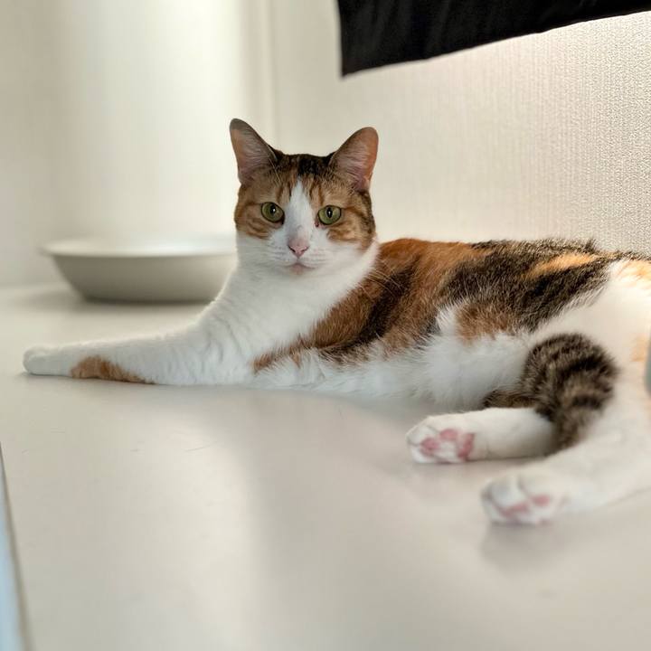 1e7ea7f5 c4a3 4915 8b42 d46e3b1dbba1 1757303311068